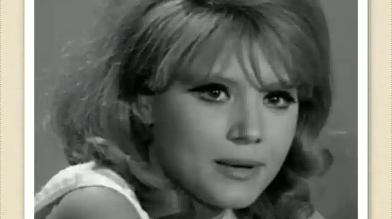 121358207 1281957632143673 5638616789351826043 o