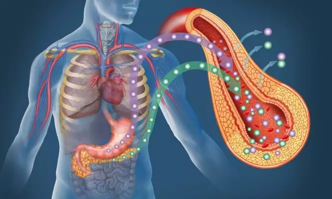 Διαβήτης: Ο ξηρός καρπός που ρίχνει το σάκχαρο μέσα σε 90 λεπτά και βοηθά στην απώλεια βάρους 1 14099diavitis 666x399 1