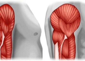 Πρωτεΐνη δεν είναι μόνο το κρέας: Οι 20 καλύτερες φυτικές πηγές πρωτεΐνης για να αποφύγετε τις ζωικές τροφές