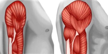 Πρωτεΐνη δεν είναι μόνο το κρέας: Οι 20 καλύτερες φυτικές πηγές πρωτεΐνης για να αποφύγετε τις ζωικές τροφές