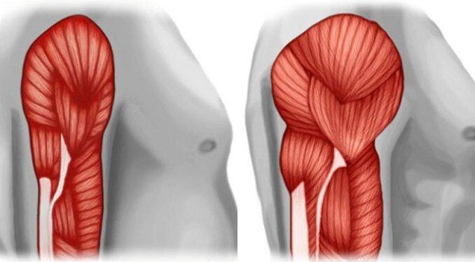 Πρωτεΐνη δεν είναι μόνο το κρέας: Οι 20 καλύτερες φυτικές πηγές πρωτεΐνης για να αποφύγετε τις ζωικές τροφές