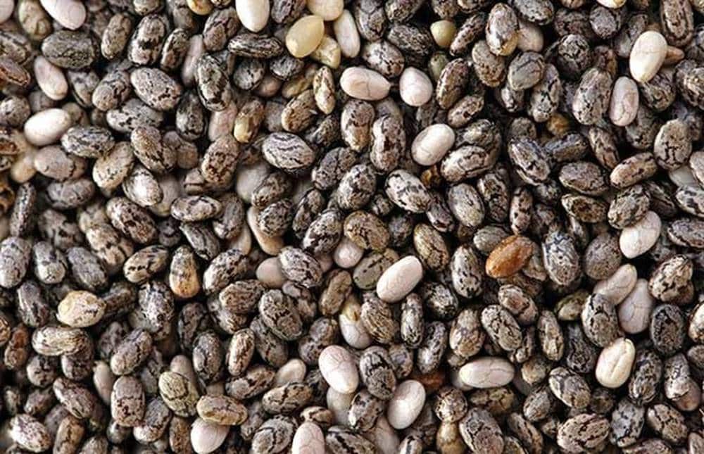 Πρωτεΐνη δεν είναι μόνο το κρέας: Οι 20 καλύτερες φυτικές πηγές πρωτεΐνης για να αποφύγετε τις ζωικές τροφές 12 20200322 5e777d8b2340f