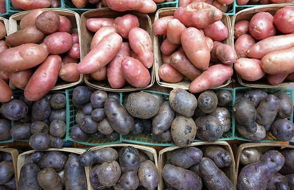 Πρωτεΐνη δεν είναι μόνο το κρέας: Οι 20 καλύτερες φυτικές πηγές πρωτεΐνης για να αποφύγετε τις ζωικές τροφές 16 20200322 5e777d8b9476c