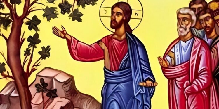 Alldaynews.gr Μεγάλη Δευτέρα: Η άκαρπη συκιά που καταράστηκε ο Χριστός