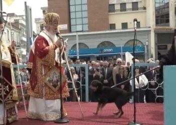 Αμβρόσιος: Ενοχλήθηκε με σκύλο, τον έδιωξε με την ποιμαντορική ράβδο