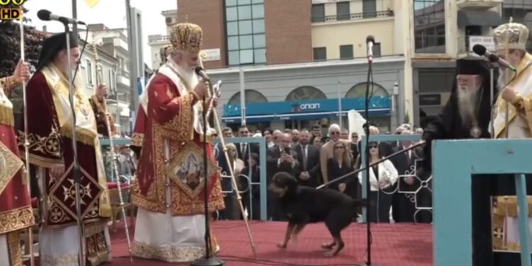 Αμβρόσιος: Ενοχλήθηκε με σκύλο, τον έδιωξε με την ποιμαντορική ράβδο