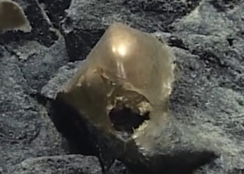 Λύθηκε το μυστήριο του «χρυσού αυγού» στον βυθό της θάλασσας – Τι αποκάλυψαν οι επιστήμονες ύστερα από τρία χρόνια ερευνών