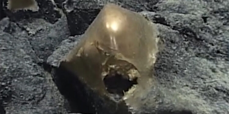 Λύθηκε το μυστήριο του «χρυσού αυγού» στον βυθό της θάλασσας – Τι αποκάλυψαν οι επιστήμονες ύστερα από τρία χρόνια ερευνών