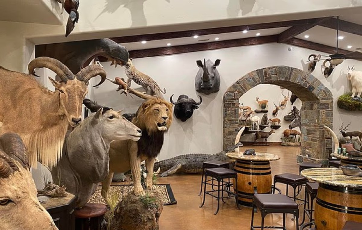 Θρίλερ στην Αφρική: Έμπειρος κυνηγός δεν πρόλαβε να αντιδράσει στην επίθεση