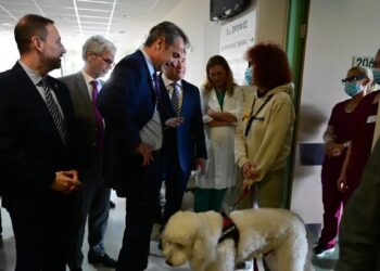 Κυριάκος Μητσοτάκης: Η γνωριμία του πρωθυπουργού με σκύλο θεραπείας στο νοσοκομείο «Μεταξά»