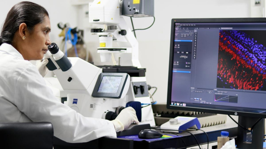 Alldaynews.gr epistimones.jpg