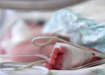 πολυκατοικία