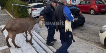 Δεν θα πιστεύετε ποιος είναι ο άντρας που το είχε παράνομο μαντρί στους Αμπελόκήπους