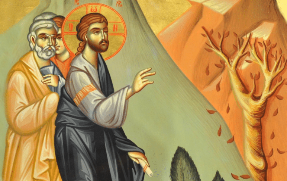 Μεγάλη Δευτέρα: Η άκαρπη συκιά που καταράστηκε ο Χριστός 1 screenshot 2024 04 29 080530