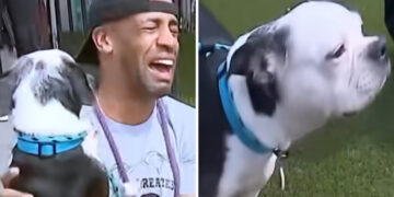 Άνδρας βρήκε ξανά τον σκύλο του έπειτα από τρία χρόνια – Δείτε τη συγκινητική στιγμή της επανένωσής τους