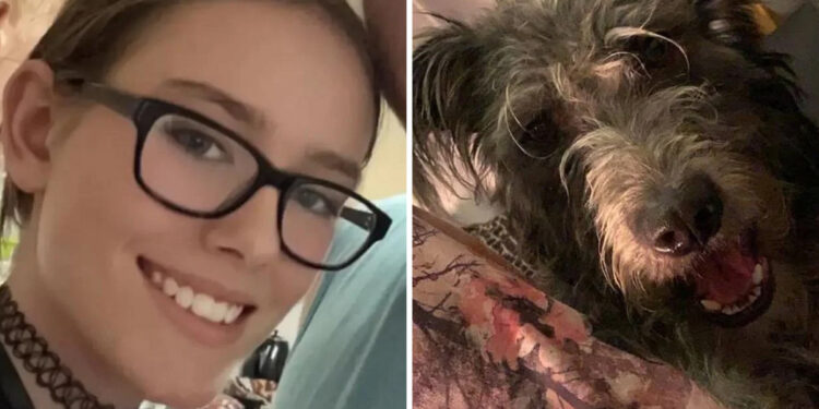 Αυτός είναι ο σκύλος που κατασπάραξε την 19χρονη μετά από 7 χρόνια στο σπίτι – Κοιμόντουσαν μαζί και τη δάγκωσε στο λαιμό (video)
