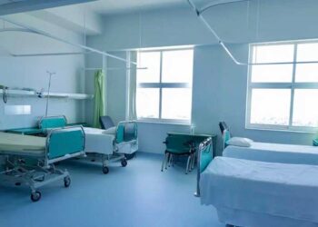 Βγήκε εκτός κινδύνου ο 13χρονος από τη Σύρο μετά από δάγκωμα οχιάς – Νοσηλεύεται στην Αθήνα