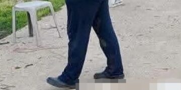 Βάβδος Χαλκιδικής: «Βρίσκαμε το ένα πτώμα μετά το άλλο» – Μαζική δηλητηρίαση αδέσποτων, τουλάχιστον 21 νεκρά σκυλιά