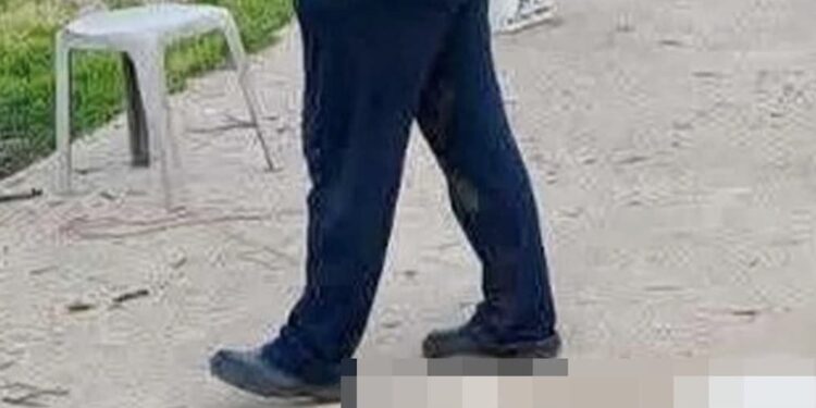 Βάβδος Χαλκιδικής: «Βρίσκαμε το ένα πτώμα μετά το άλλο» – Μαζική δηλητηρίαση αδέσποτων, τουλάχιστον 21 νεκρά σκυλιά