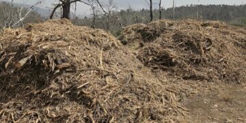 Καθαρισμός οικοπέδων 2026: Η μεγάλη αλλαγή στις φετινές δηλώσεις – Τα πρόστιμα