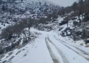 Ψυχρή εισβολή από την Αρκτική απειλεί την Ελλάδα – Κίνδυνος παγετού και ζημιών στην αγροτική παραγωγή