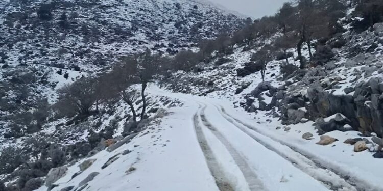 Ψυχρή εισβολή από την Αρκτική απειλεί την Ελλάδα – Κίνδυνος παγετού και ζημιών στην αγροτική παραγωγή
