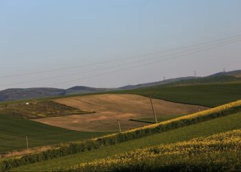 Οδικός χάρτης για τα αγροτικά οικόπεδα – Πώς θα χτίσετε κτίσµα σε χώρο µικρότερο από τέσσερα στρέµµατα