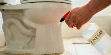 Ψεκάζοντας ξίδι γύρω από τη λεκάνη: Γιατί το προτείνουν οι ειδικοί και σε τι βοηθά
