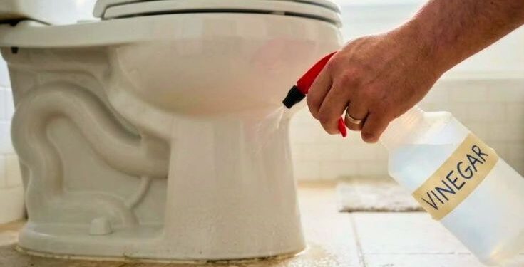 Ψεκάζοντας ξίδι γύρω από τη λεκάνη: Γιατί το προτείνουν οι ειδικοί και σε τι βοηθά