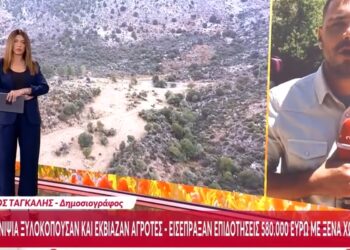 Θείος και ανίψια ξυλοκοπούσαν και εκβίαζαν αγρότες – Εισέπραξαν επιδοτήσεις 580.000 ευρώ με ξένα χωράφια (video)