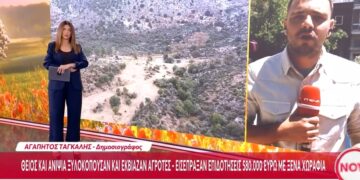 Θείος και ανίψια ξυλοκοπούσαν και εκβίαζαν αγρότες – Εισέπραξαν επιδοτήσεις 580.000 ευρώ με ξένα χωράφια (video)