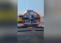 Κωμικοτραγικές εικόνες στην Εθνική Οδό: Ποδηλάτης «κόλλησε» πίσω από νταλίκα για να κινηθεί ξεκούραστα, εφαρμόζοντας τεχνική… F1