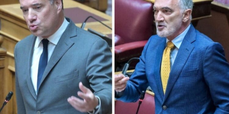 Alldaynews.gr «Έχετε ζητήσει από φαρμακευτική να πληρώνουν ΜΜΕ για να κάνετε καριέρα;»: Άγρια σύγκρουση Γεωργιάδη – Σαλμά