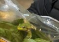Καταναλωτής βρήκε ζωντανό βάτραχο σε έτοιμη σαλάτα σούπερ μάρκετ (video)