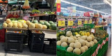 Πεπόνια: Γέμισαν πάγκοι σε λαϊκές και σουπερμάρκετ – Τα τελευταία στοιχεία της EFSA για πολλαπλά υπολείμματα φυτοφαρμάκων