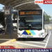 Υπουργείο Μεταφορών: 700 οδηγοί λεωφορείων δήλωναν ασθένεια και δούλευαν στα τουριστικά πούλμαν (video)