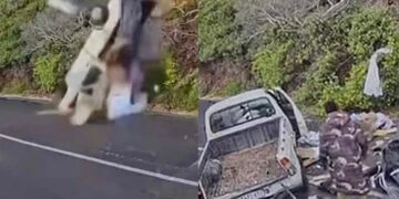 Είχε Άγιο: Φορτηγάκι χωρίς φρένα έπεσε από γκρεμό και ο οδηγός βγήκε αλώβητος