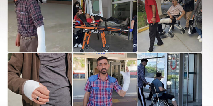 Alldaynews.gr Πάνω από 13.500 Τούρκοι στο νοσοκομείο σε μία μόνο μέρα – Τραυματίστηκαν προσπαθώντας να σφάξουν ζώα για το Μπαϊράμι