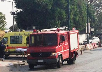 ΕΚΤΑΚΤΟ: Η βόλτα με τη γουρούνα μετατράπηκε σε τραγωδία για πατέρα και γιο – Ξεχύψησε ο 42χρονος και χαροπαλεύει το παιδί του (video)