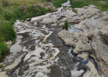 Περιβαλλοντικό έγκλημα στη Βόλβη: Ρίχνουν απόβλητα σε ρέμα που καταλήγει στη λίμνη –  Εξαφανίστηκαν τα ψάρια (video)