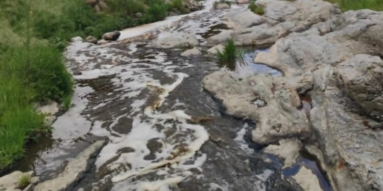 Περιβαλλοντικό έγκλημα στη Βόλβη: Ρίχνουν απόβλητα σε ρέμα που καταλήγει στη λίμνη –  Εξαφανίστηκαν τα ψάρια (video)