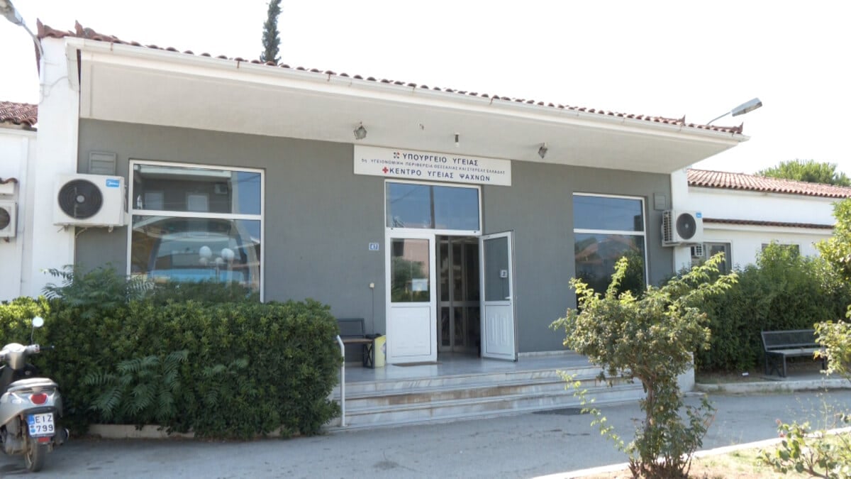 Τραγωδία στην Εύβοια: Πέθανε ξαφνικά 21χρονη – Είχε δεχθεί τσίμπημα σφήκας νωρίτερα 2 202509181424134439