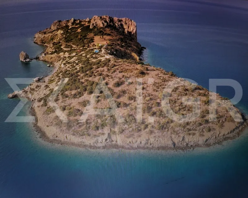 Η Άμπελος