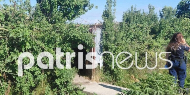 Alldaynews.gr Τραγωδία: Νεκρός 57χρονος με τραύμα στο κεφάλι από κυνηγετικό όπλο – Με τον ίδιο τρόπο είχε φύγει και ο πατέρας του (video)
