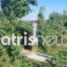 Alldaynews.gr Τραγωδία: Νεκρός 57χρονος με τραύμα στο κεφάλι από κυνηγετικό όπλο – Με τον ίδιο τρόπο είχε φύγει και ο πατέρας του (video)