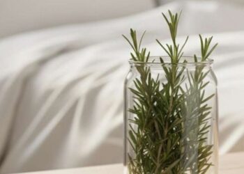 Το βότανο που πρέπει να βάλετε σε βάζο μέσα στην κρεβατοκάμαρα – Θα σας σώσει