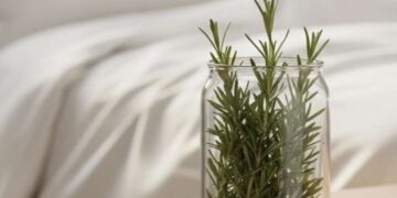 Το βότανο που πρέπει να βάλετε σε βάζο μέσα στην κρεβατοκάμαρα – Θα σας σώσει