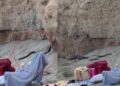 Τρόμος σε γνωστή παραλία: Εμφανίστηκαν μαύρα φίδια από το πουθενά – Έκοβαν βόλτα ανάμεσα στους λουόμενους (video)