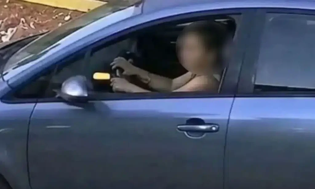 οδηγός