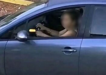 «Άρχισα να κλαίω, πρώτα για τη Σίσσυ και μετά για εμένα»: Σπαράζει η οδηγός που πάτησε το σκυλάκι (video)